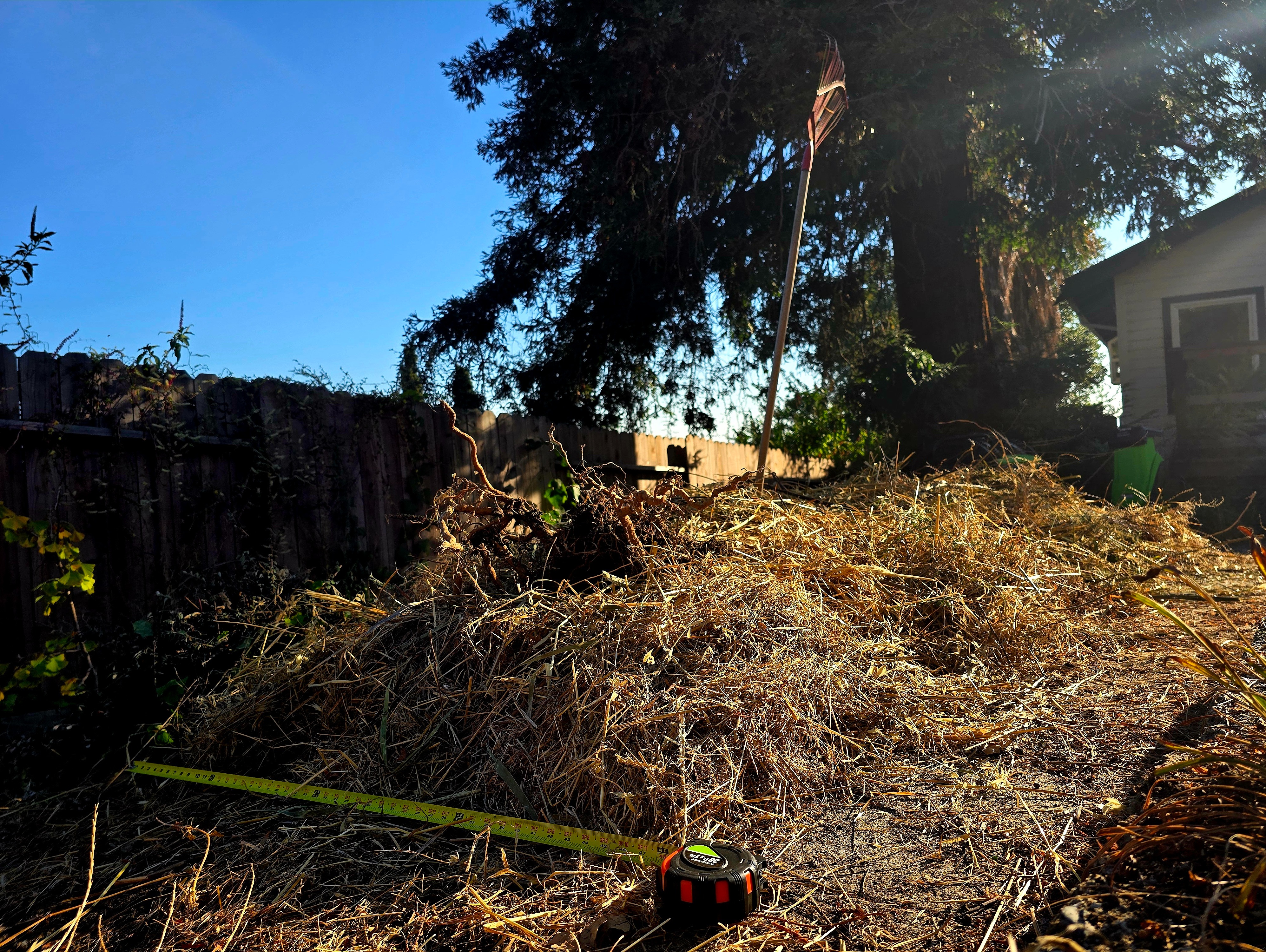 Shredded biomass pile