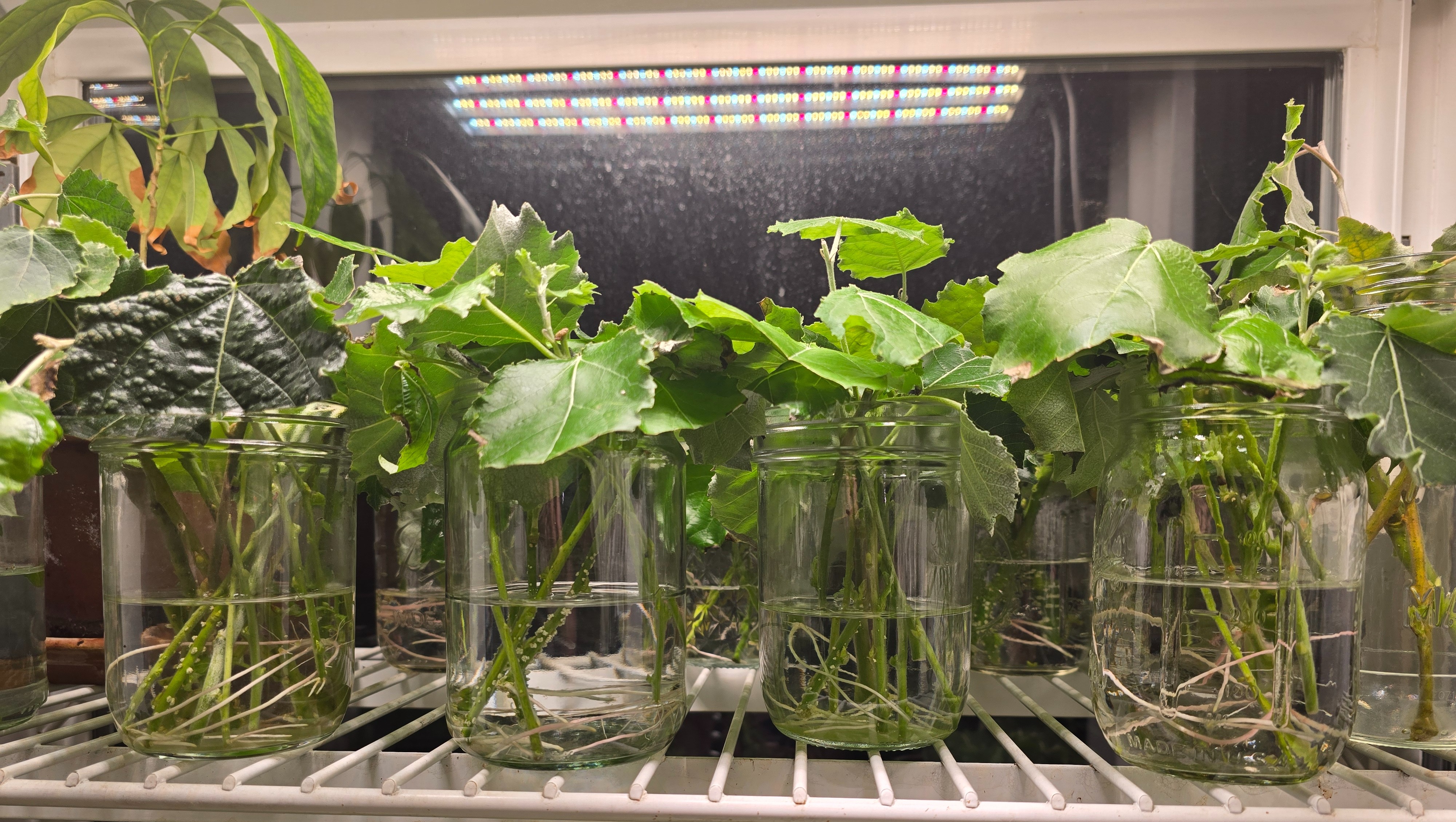 Leveled trench for the long wall with blocks and gravel