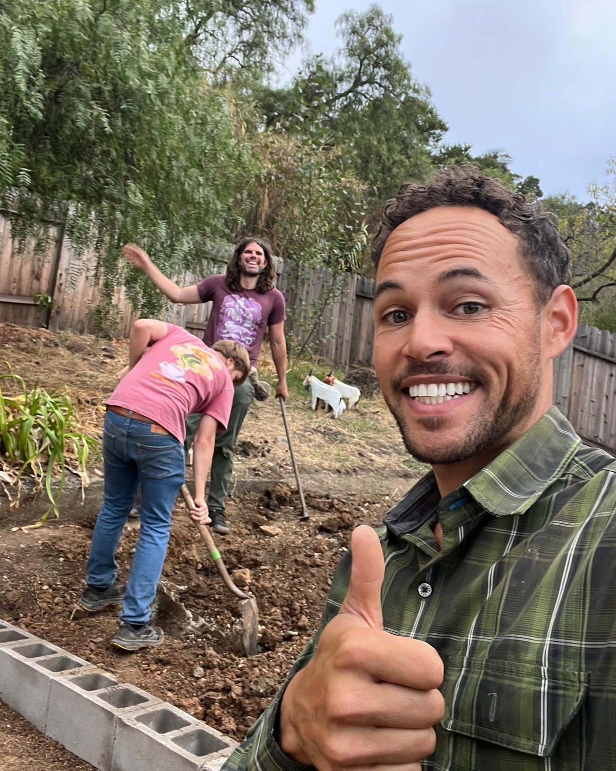 Slothy seen in-block during construction