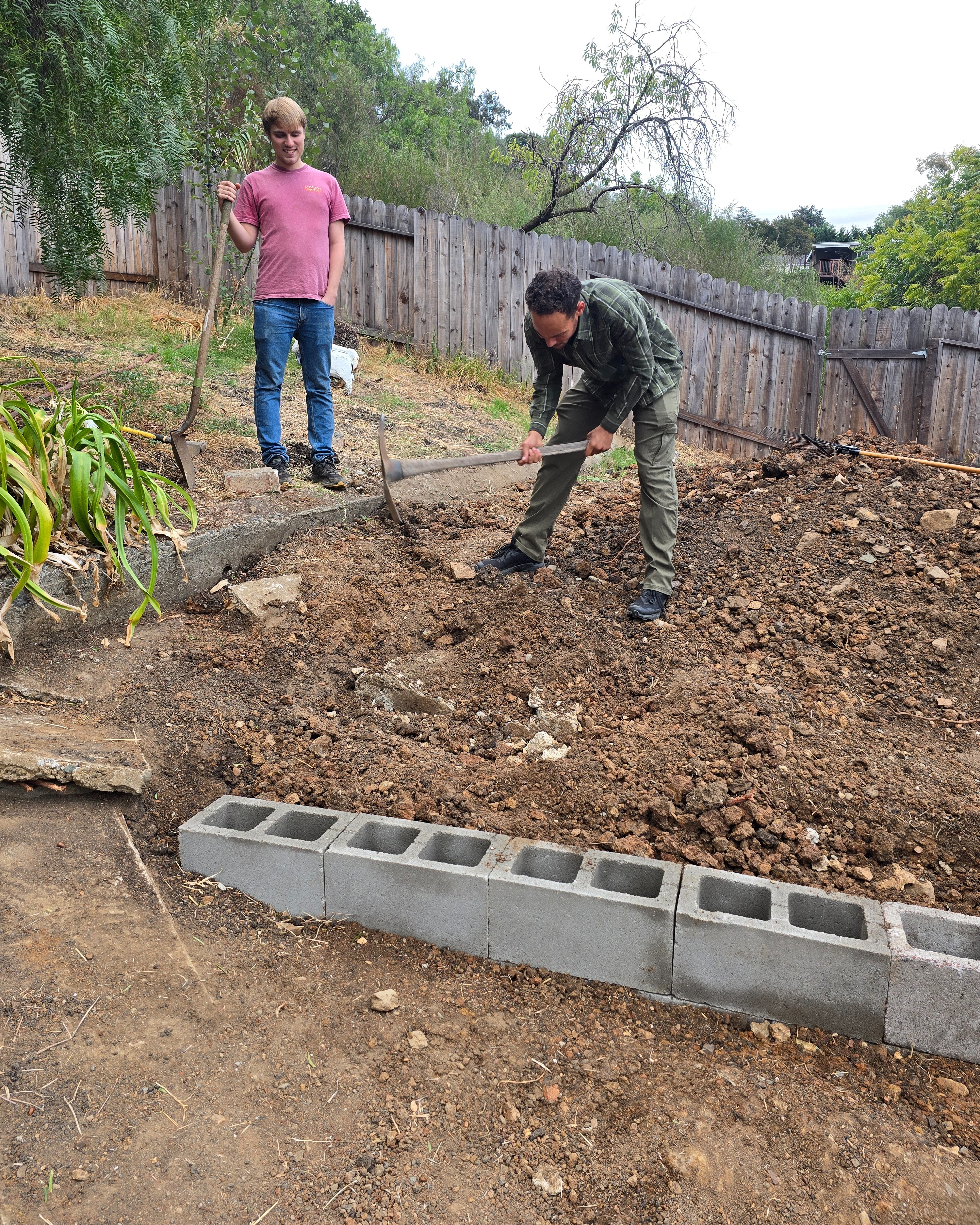 Uncovered slabs and terrace walls from 1920s garden