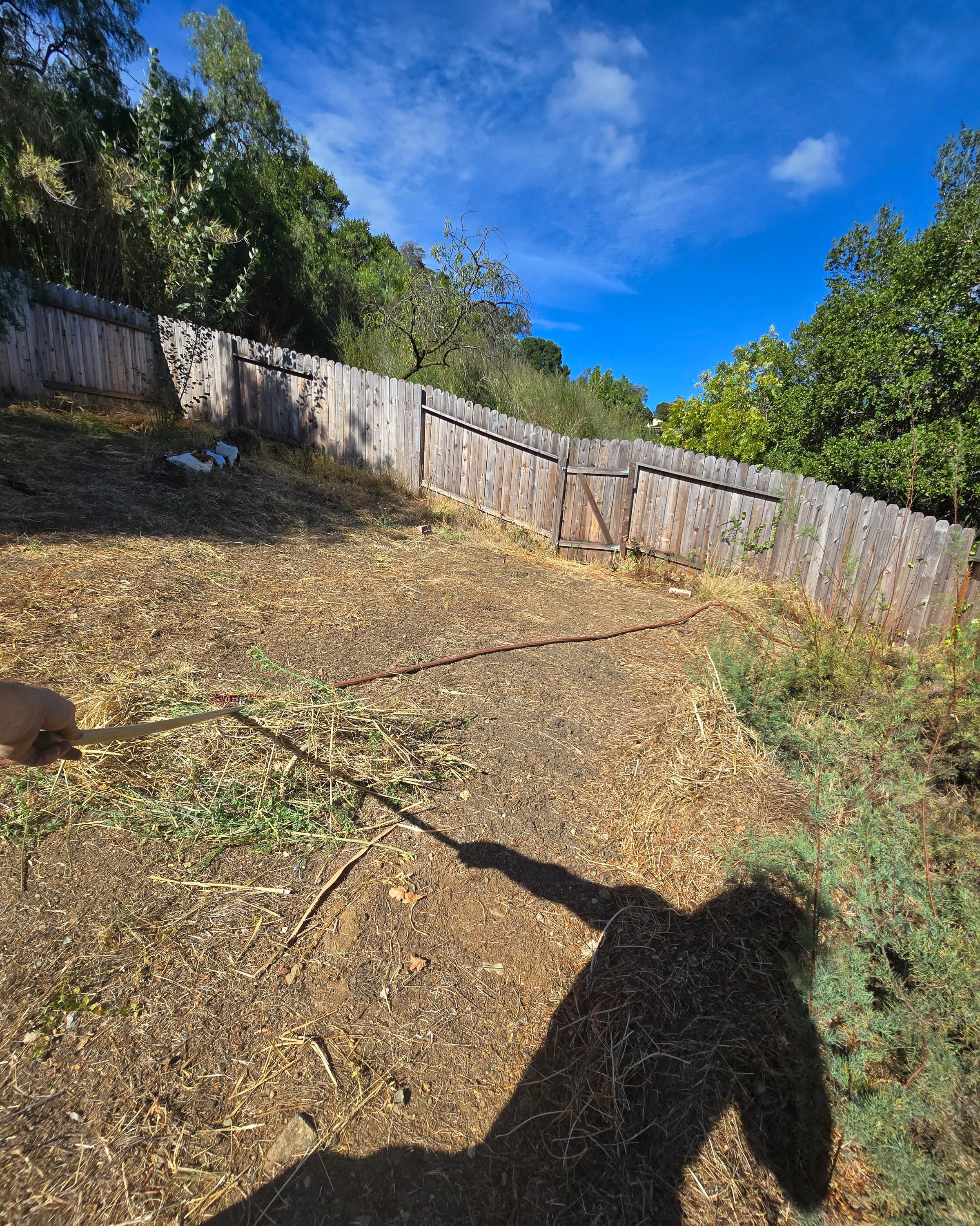 The greenhouse site measured and cleared, ready for the next steps.