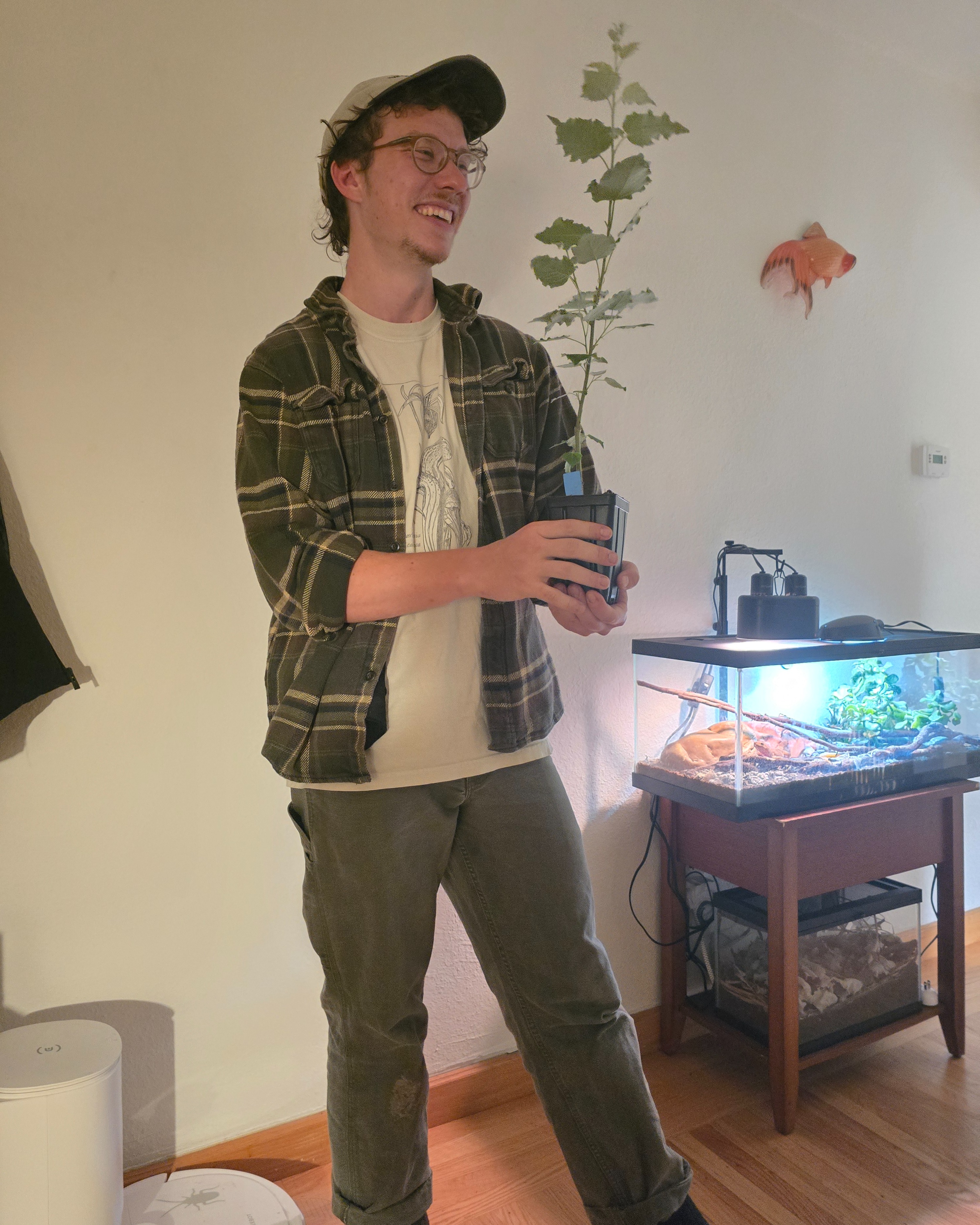 Rebar hammered into the ground for reinforcement