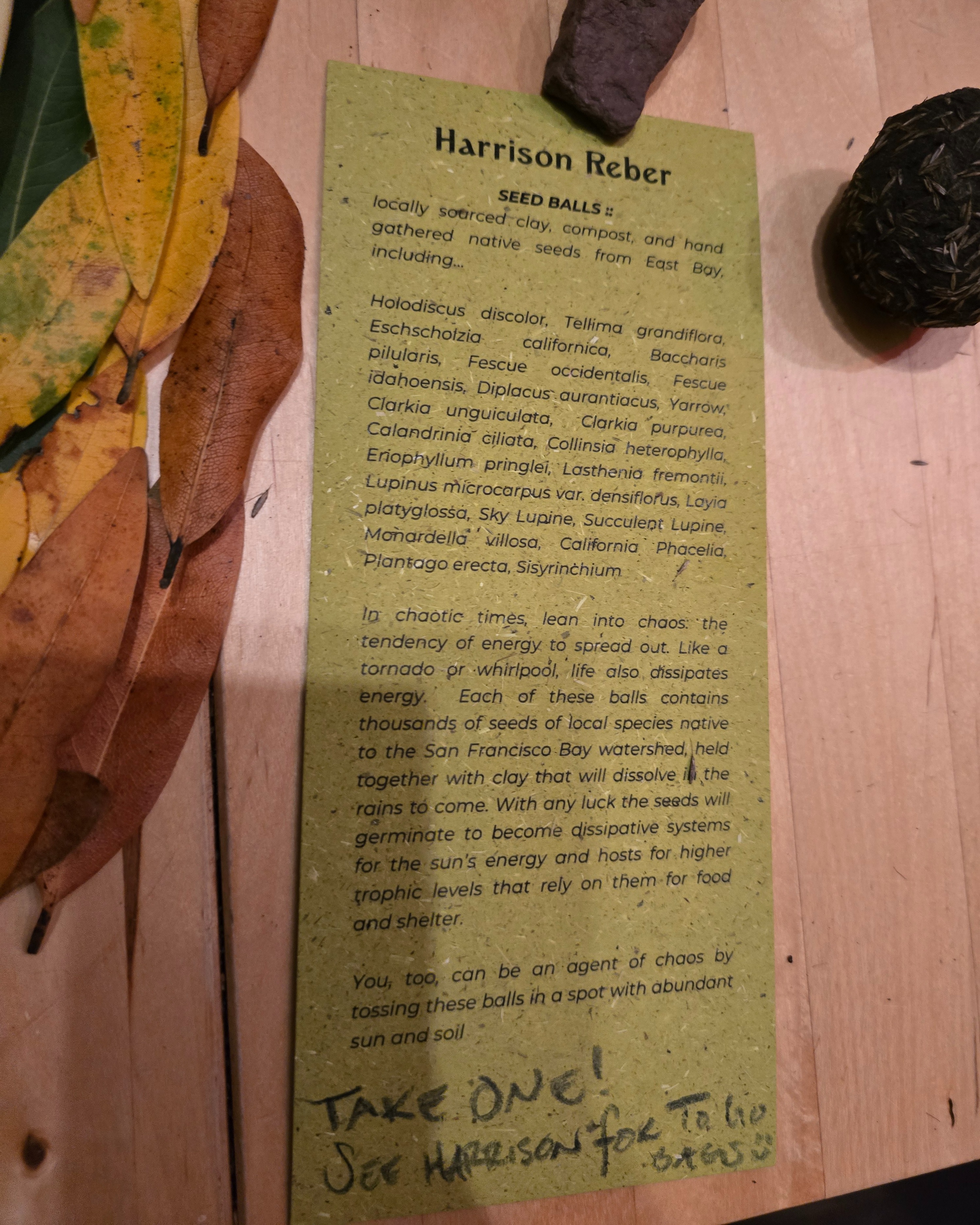 Seed balls made from clay collected at the site