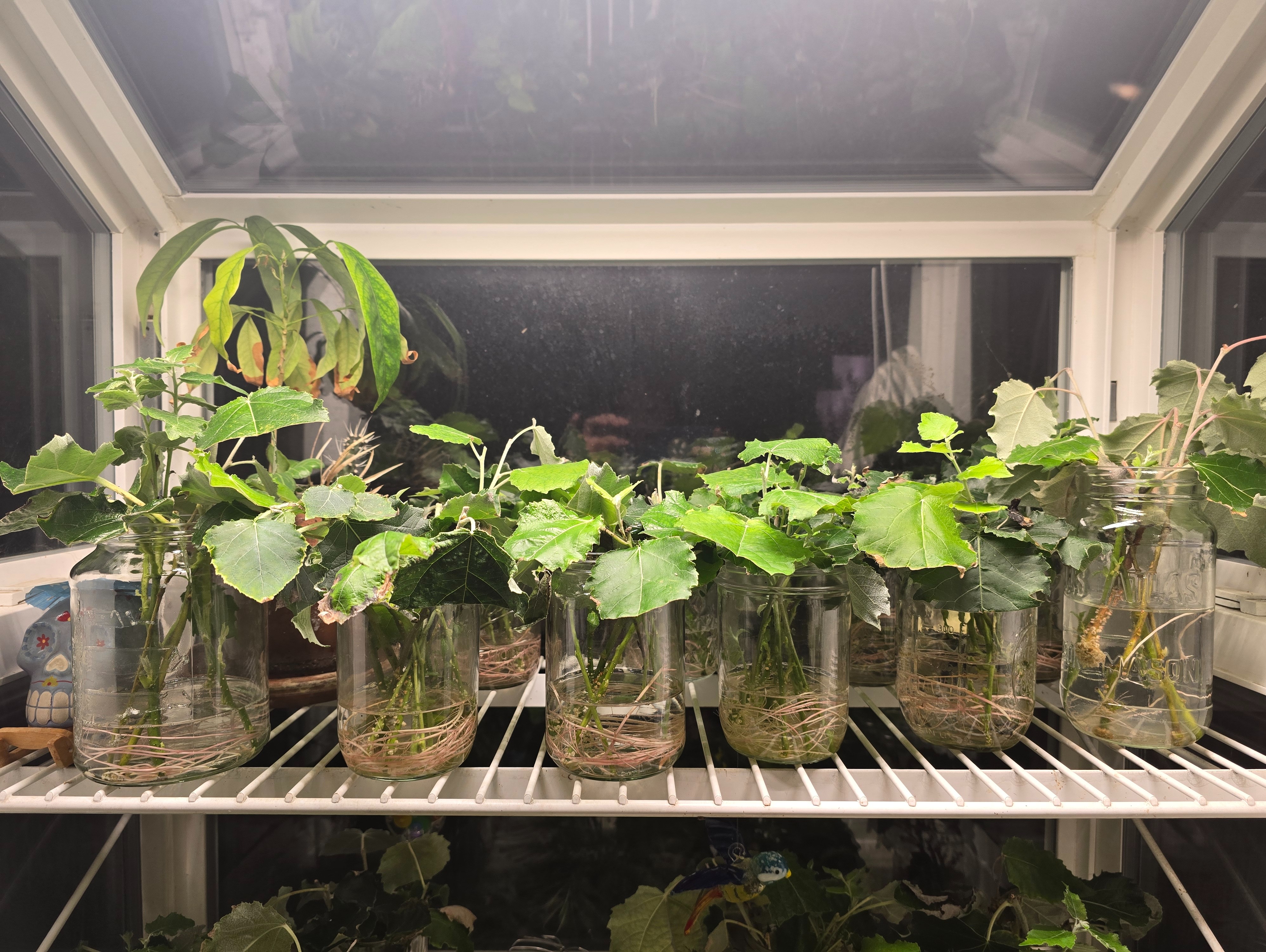 Excavating the inner trench