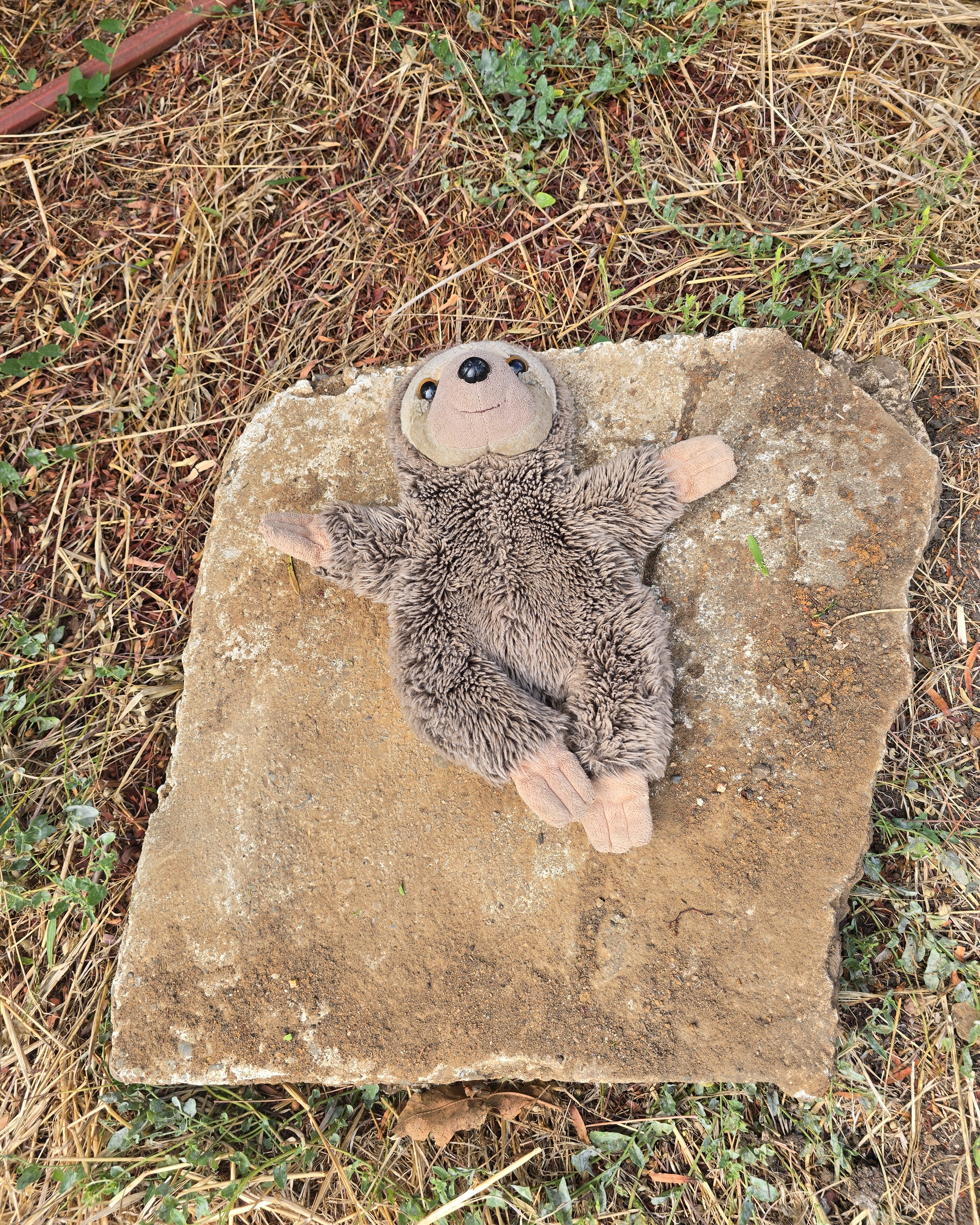 Buried concrete wall discovered during excavation