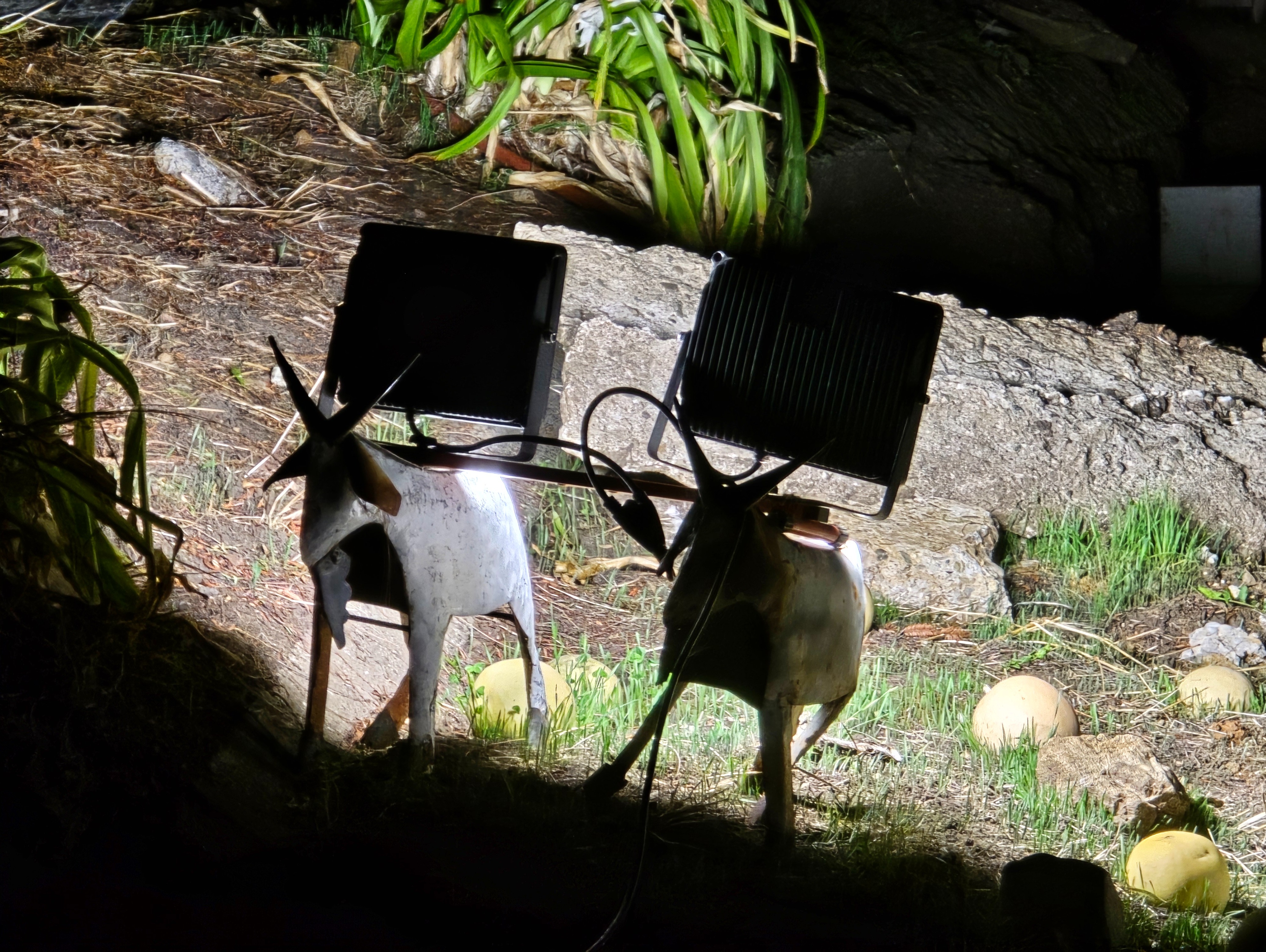 Geotechnical consultation discussion on drainage