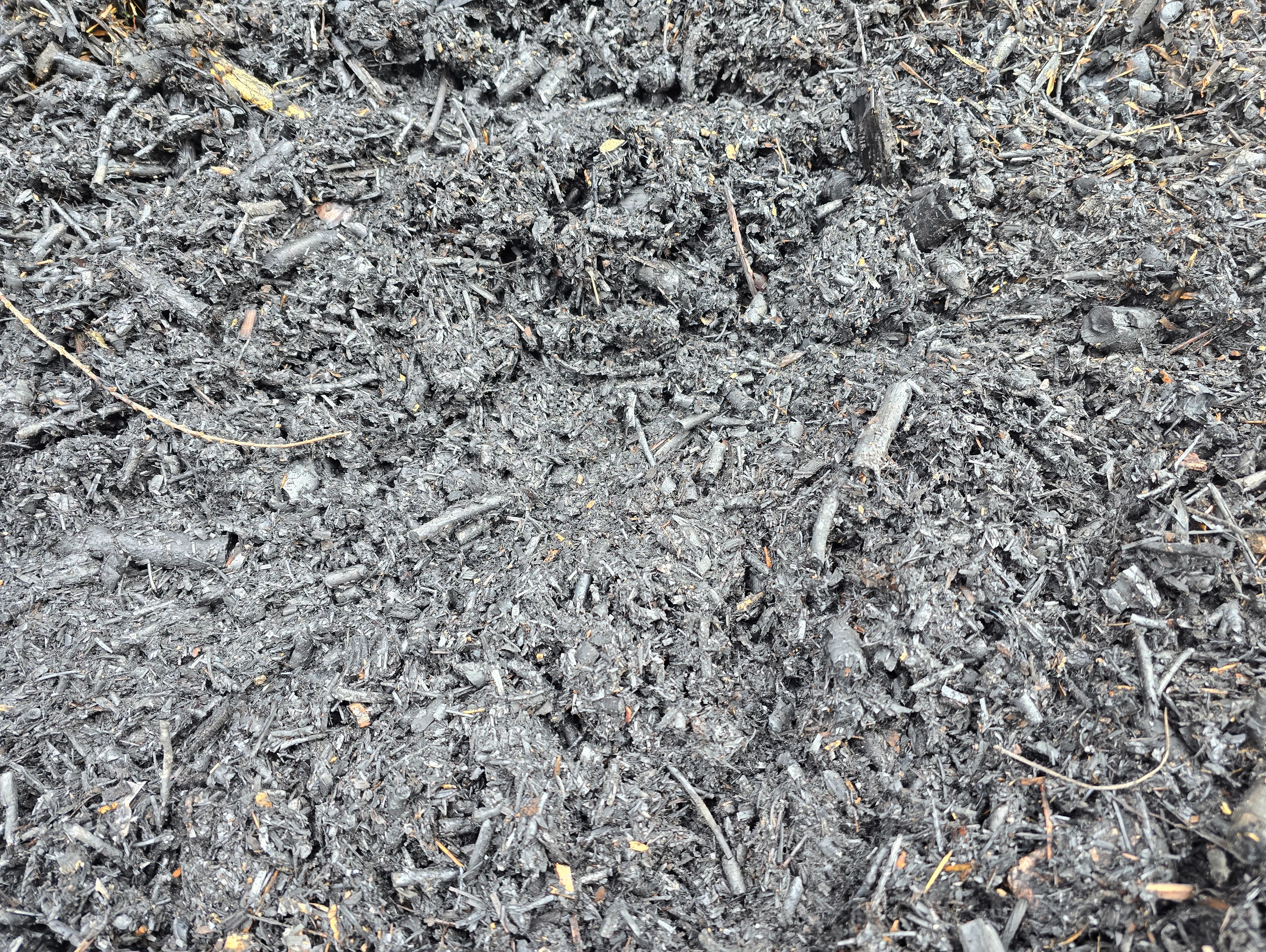 Char ready for distribution