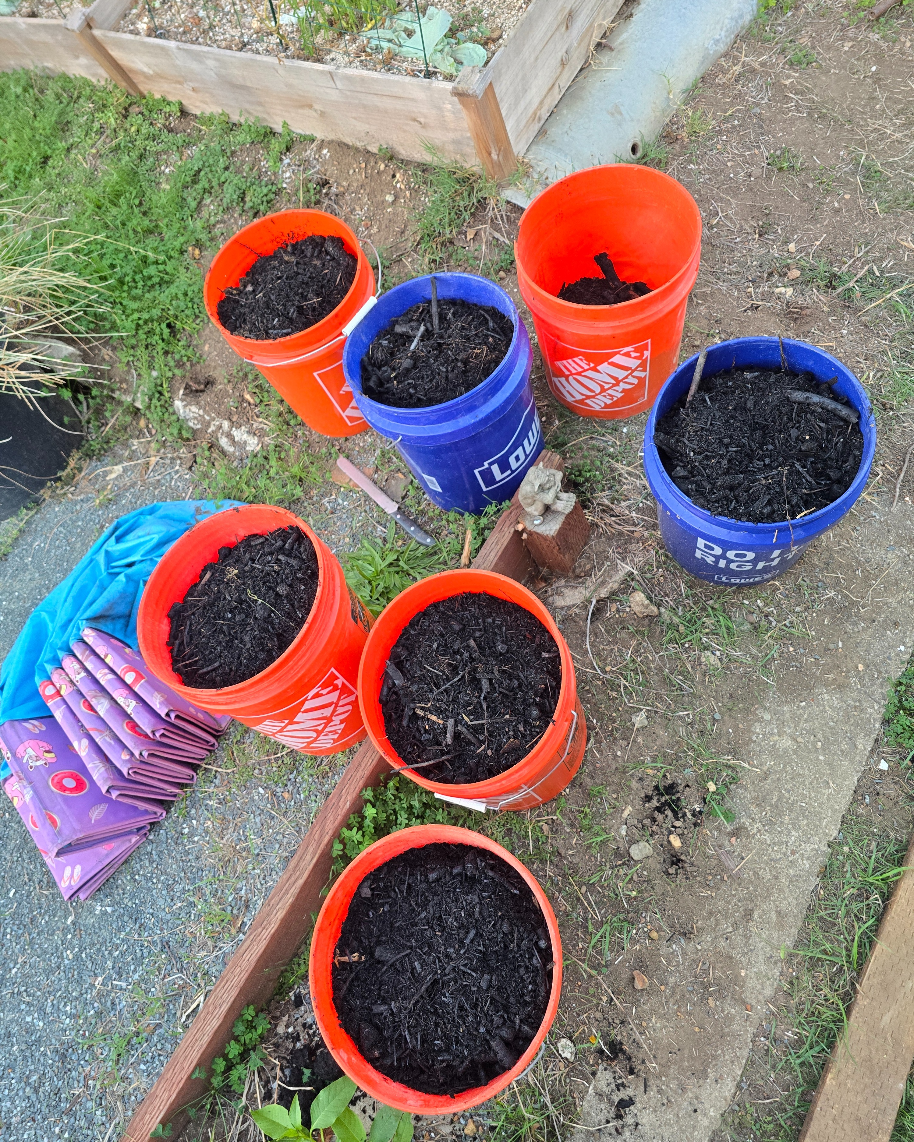 Completed biochar from Halloween burn