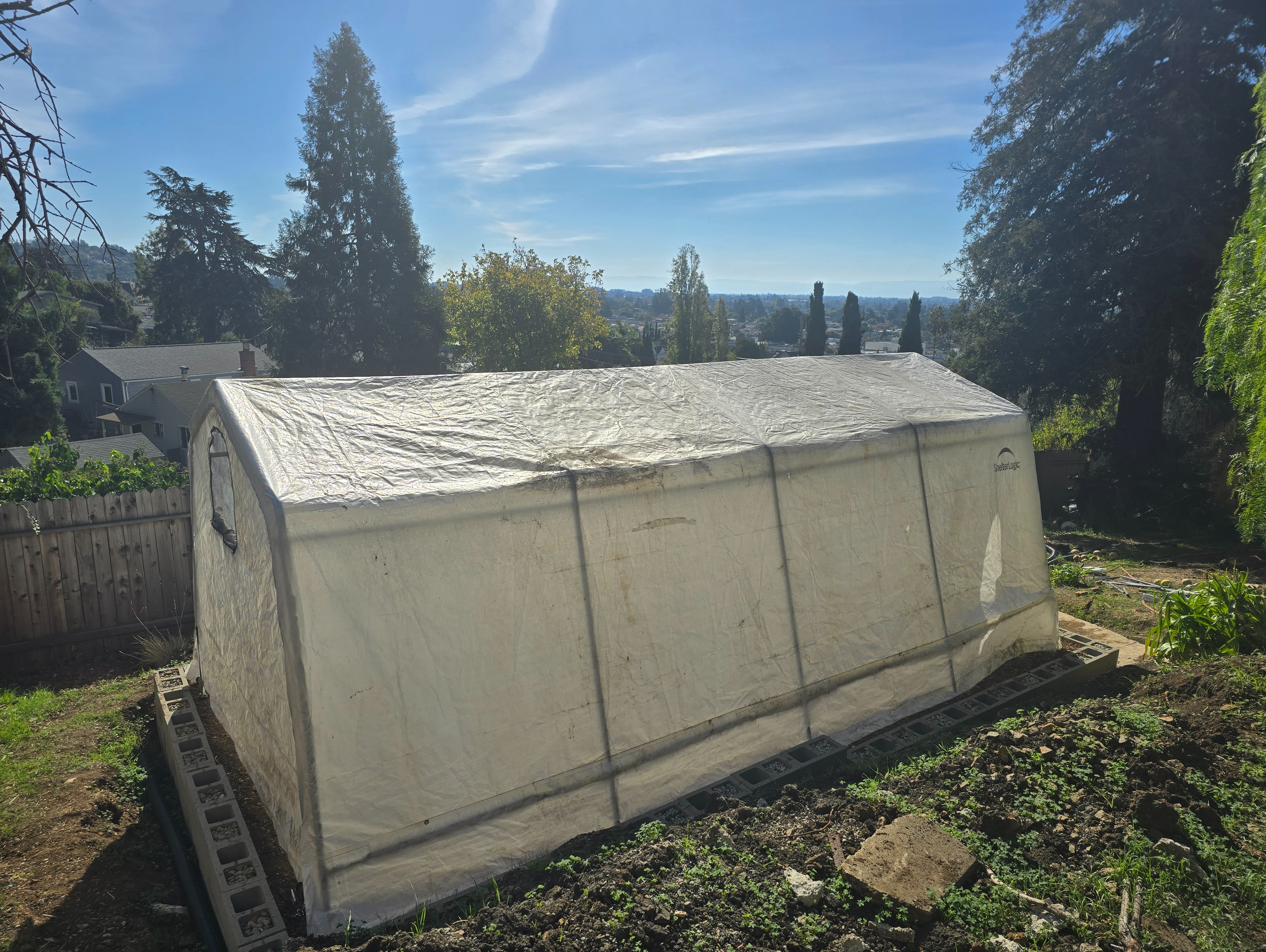 Functional greenhouse ready for next phase
