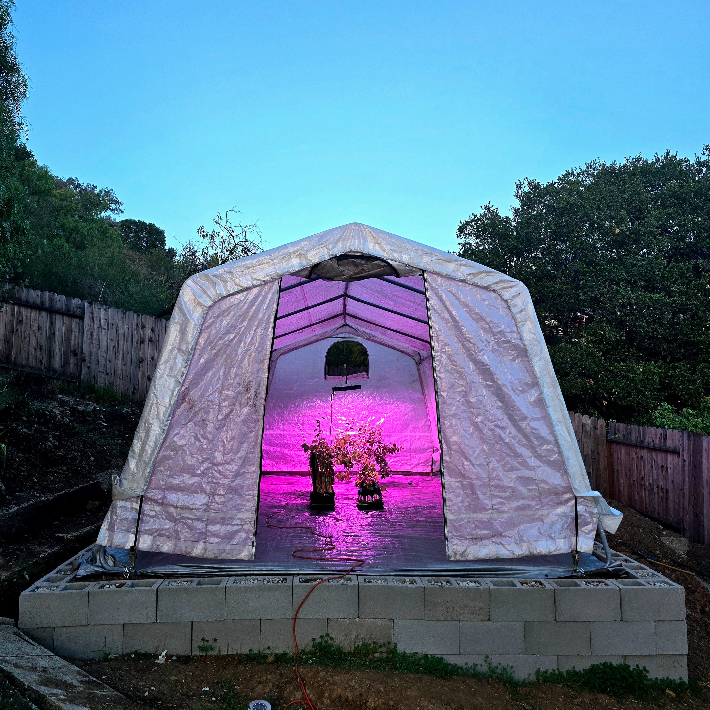 First grow light installed