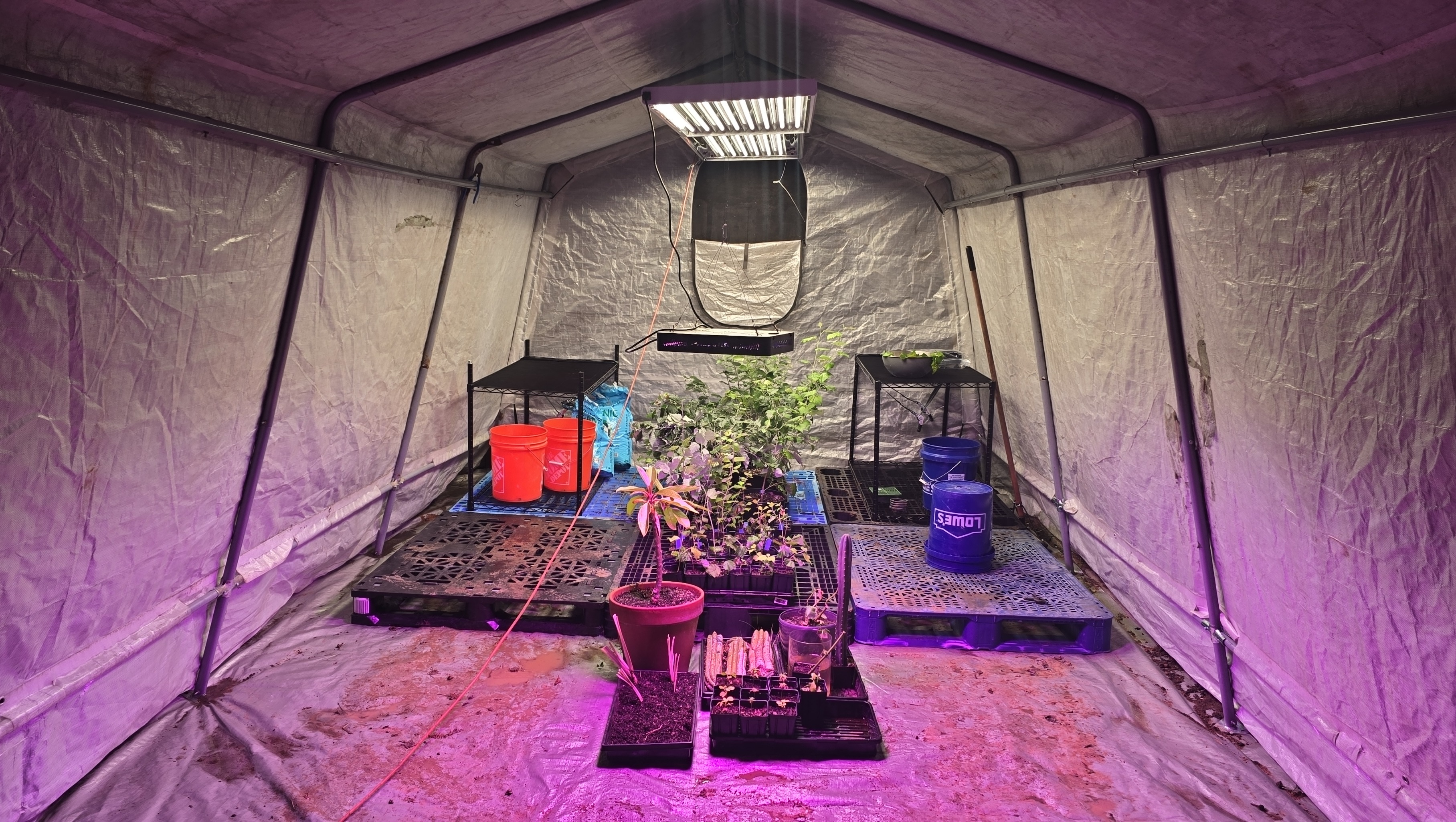 Greenhouse floor tarp and drainage setup