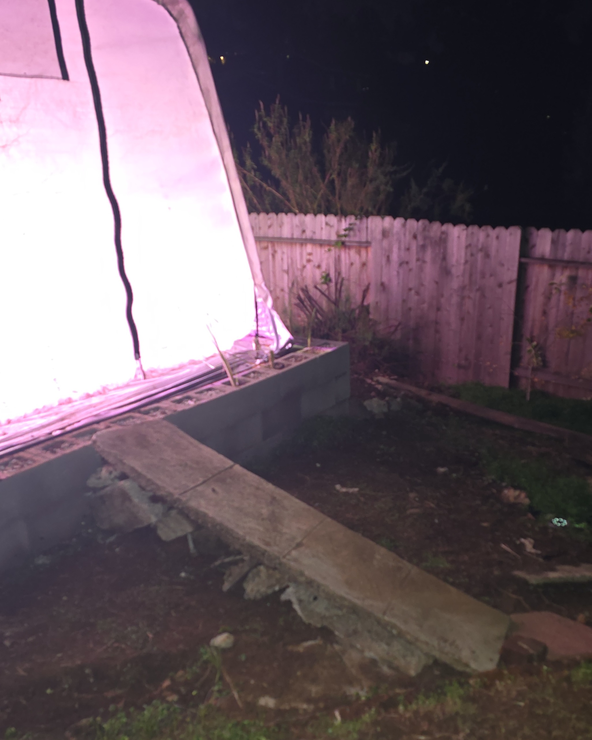 Potting cuttings with biochar