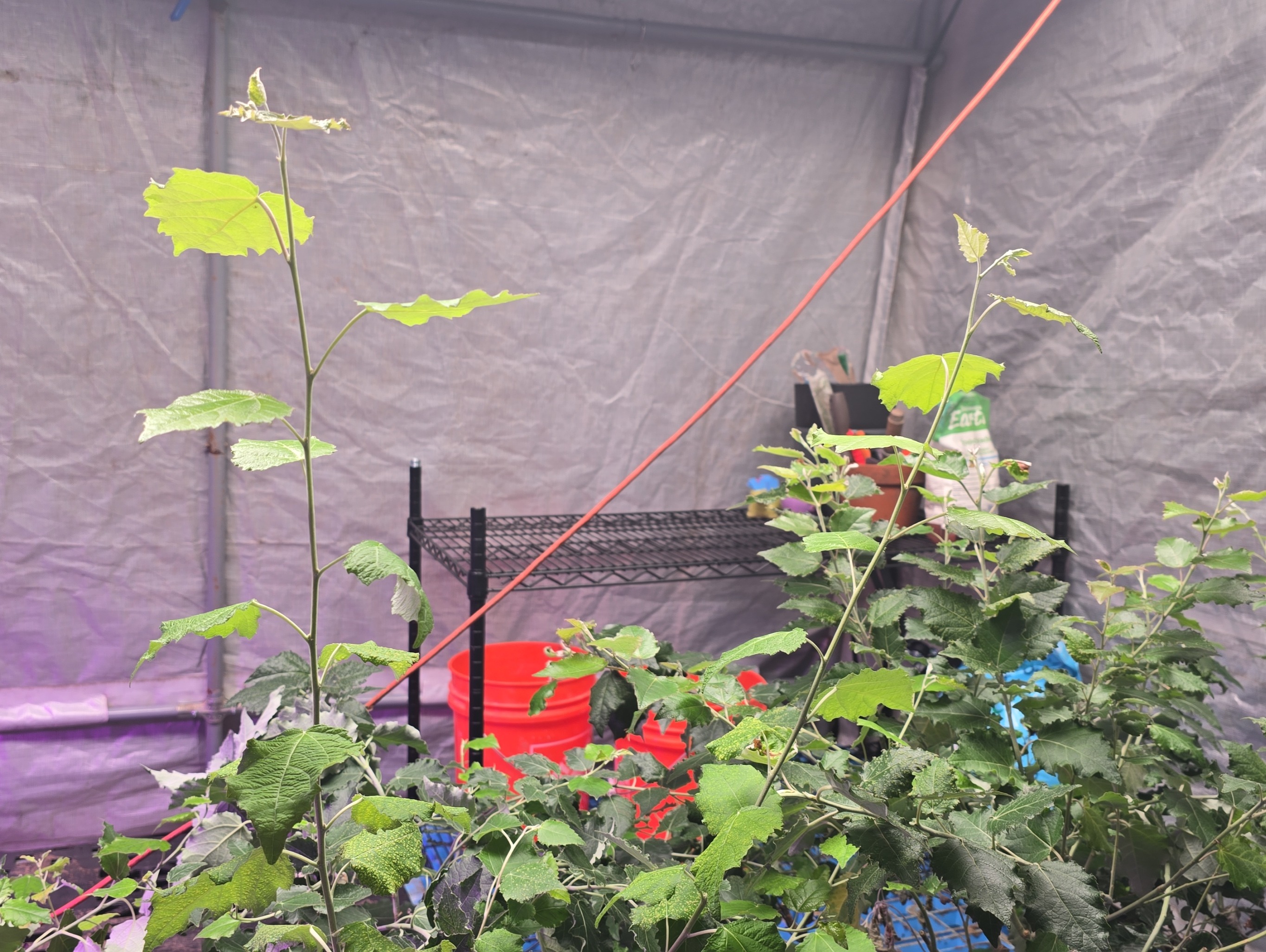 Filling block cells with soil mixture