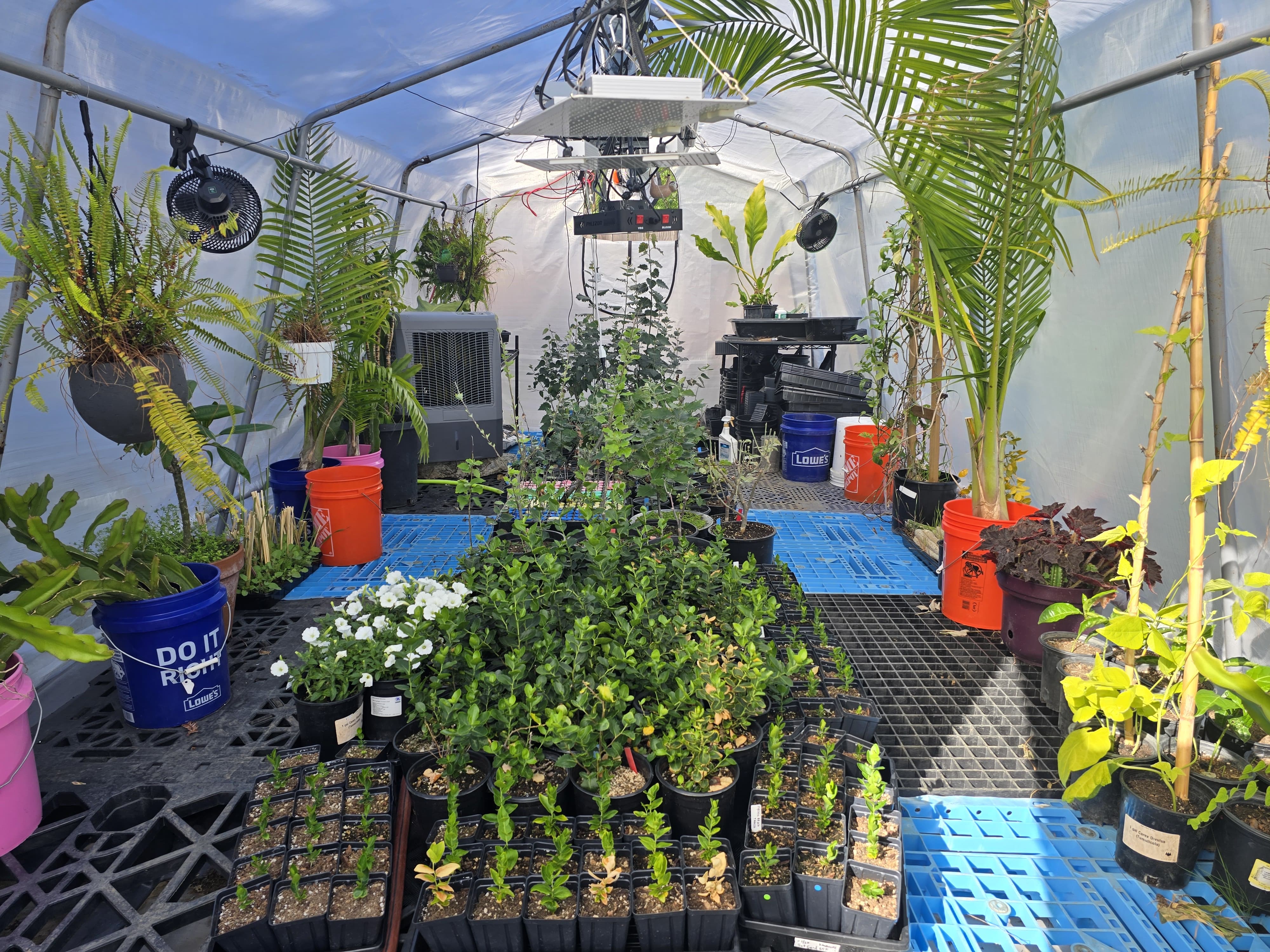 Greenhouse tour