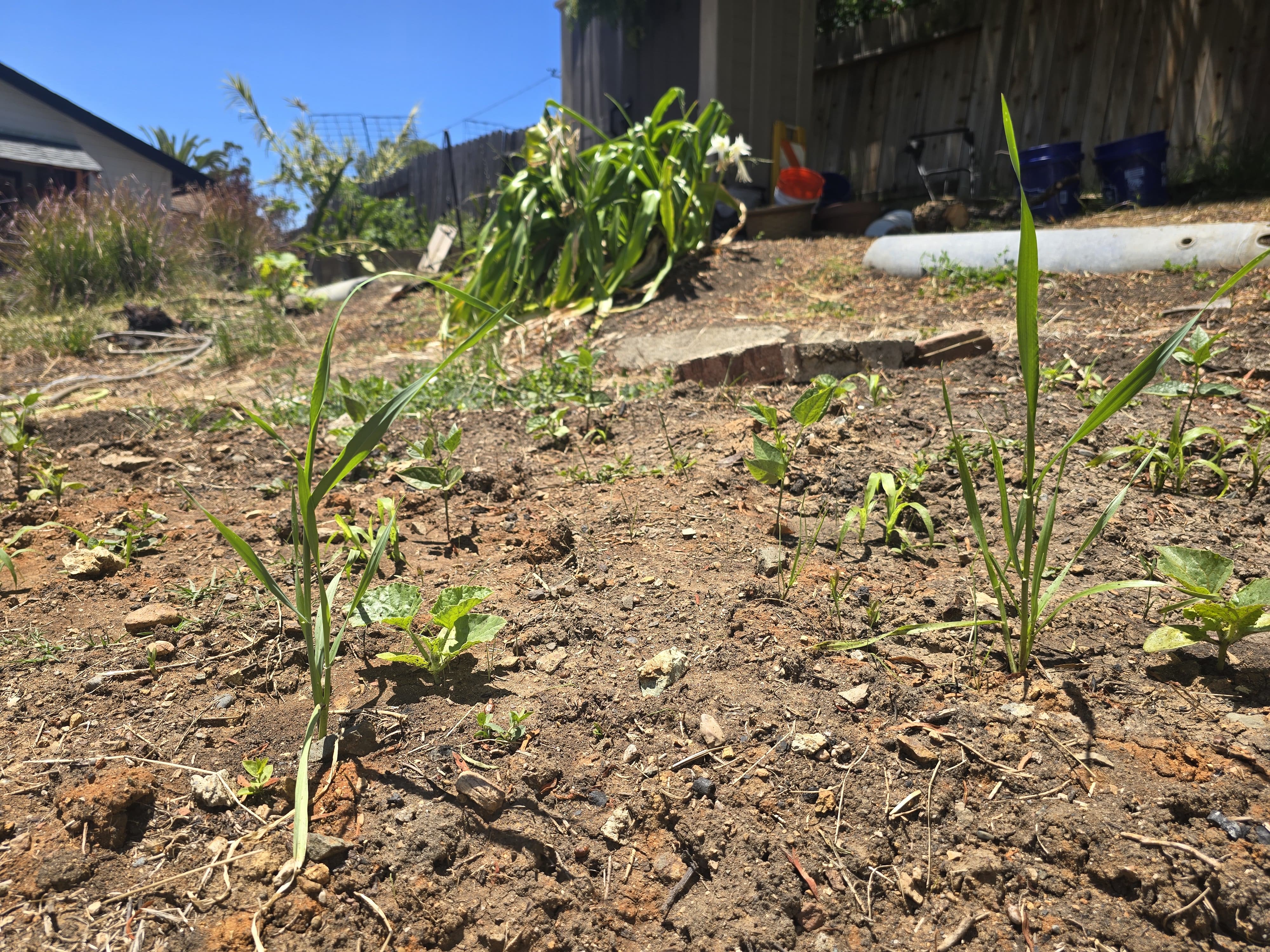Soil improvement