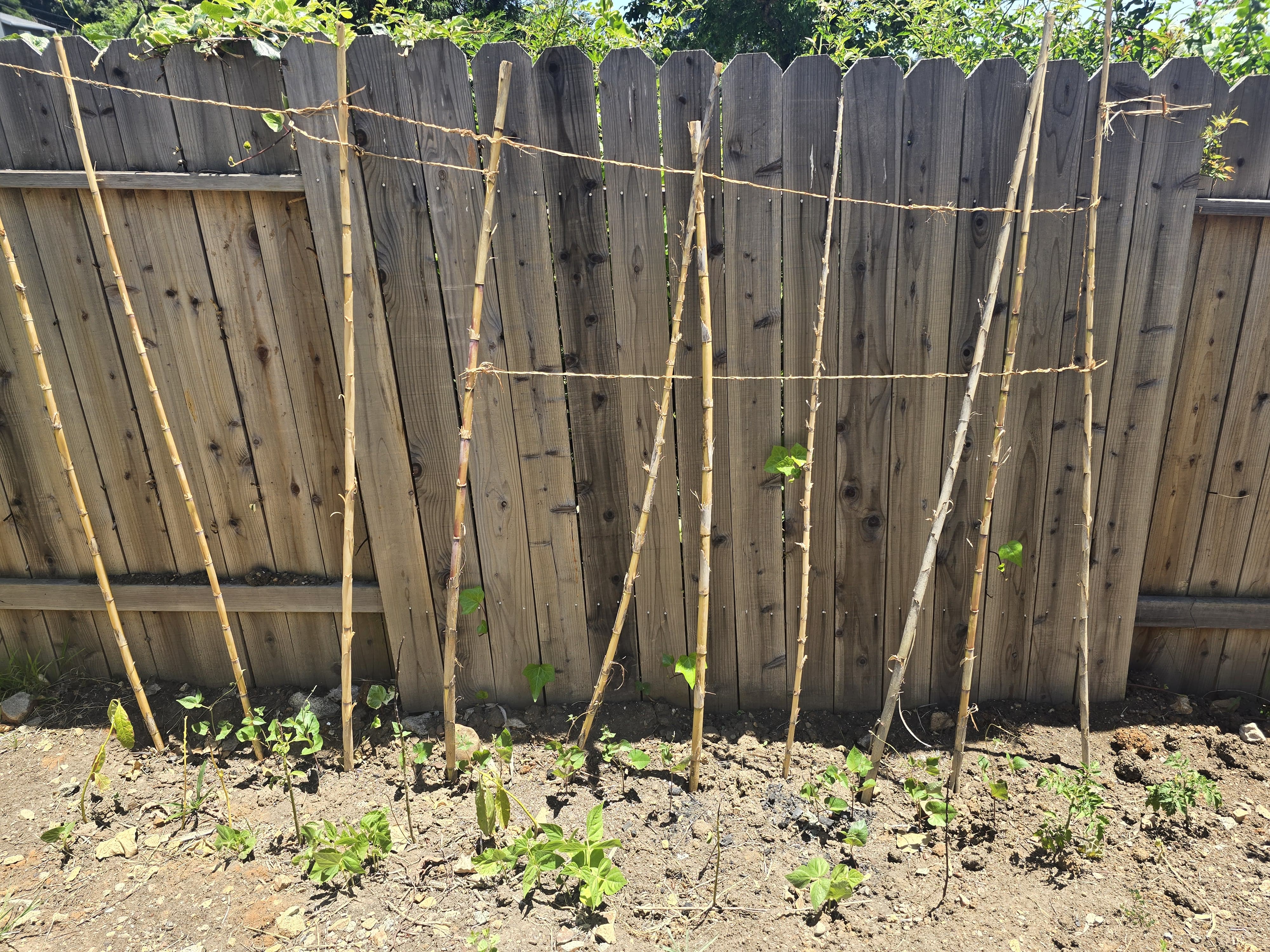 Treillage & support structures