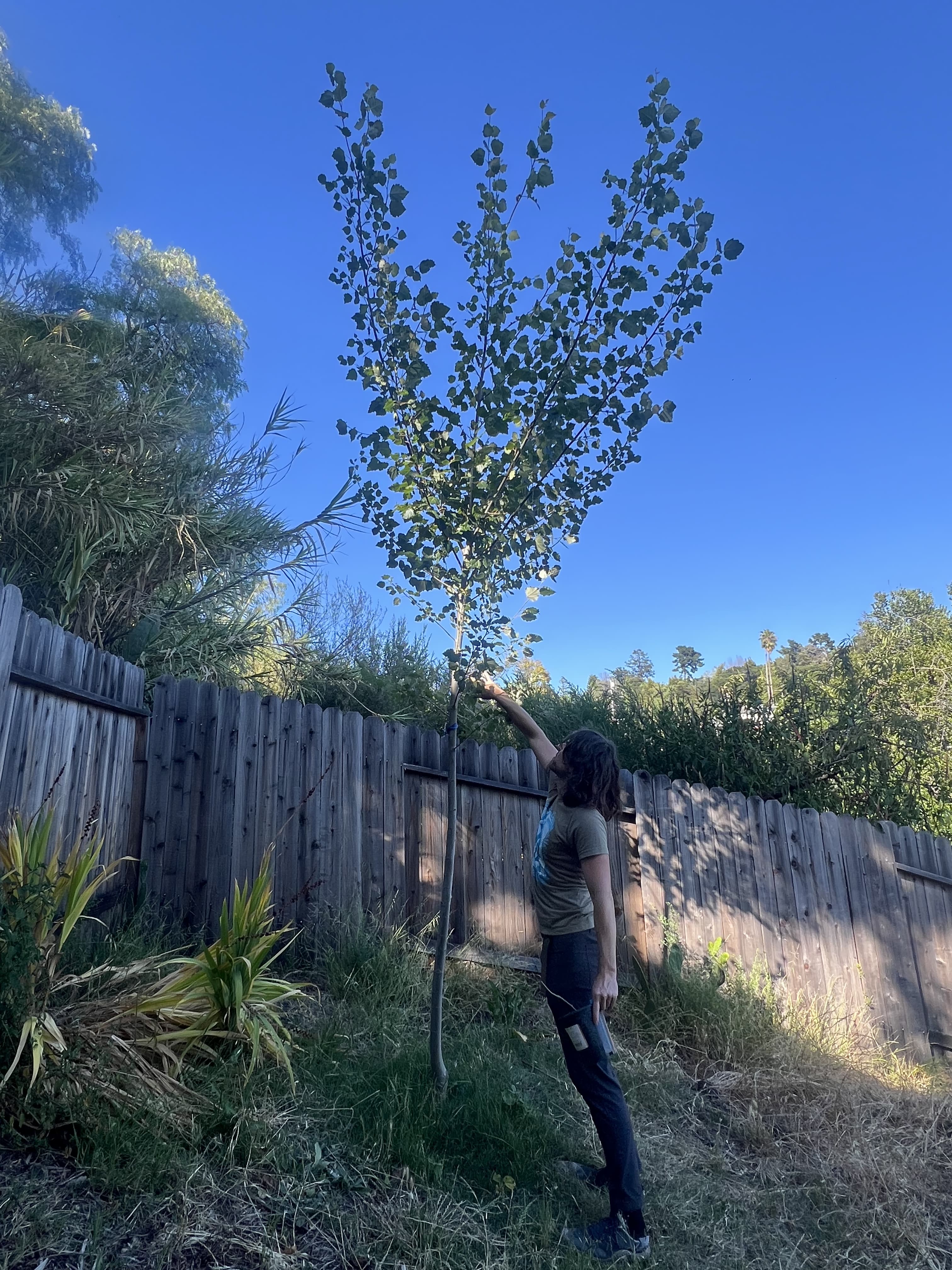 Biochar production and event activities