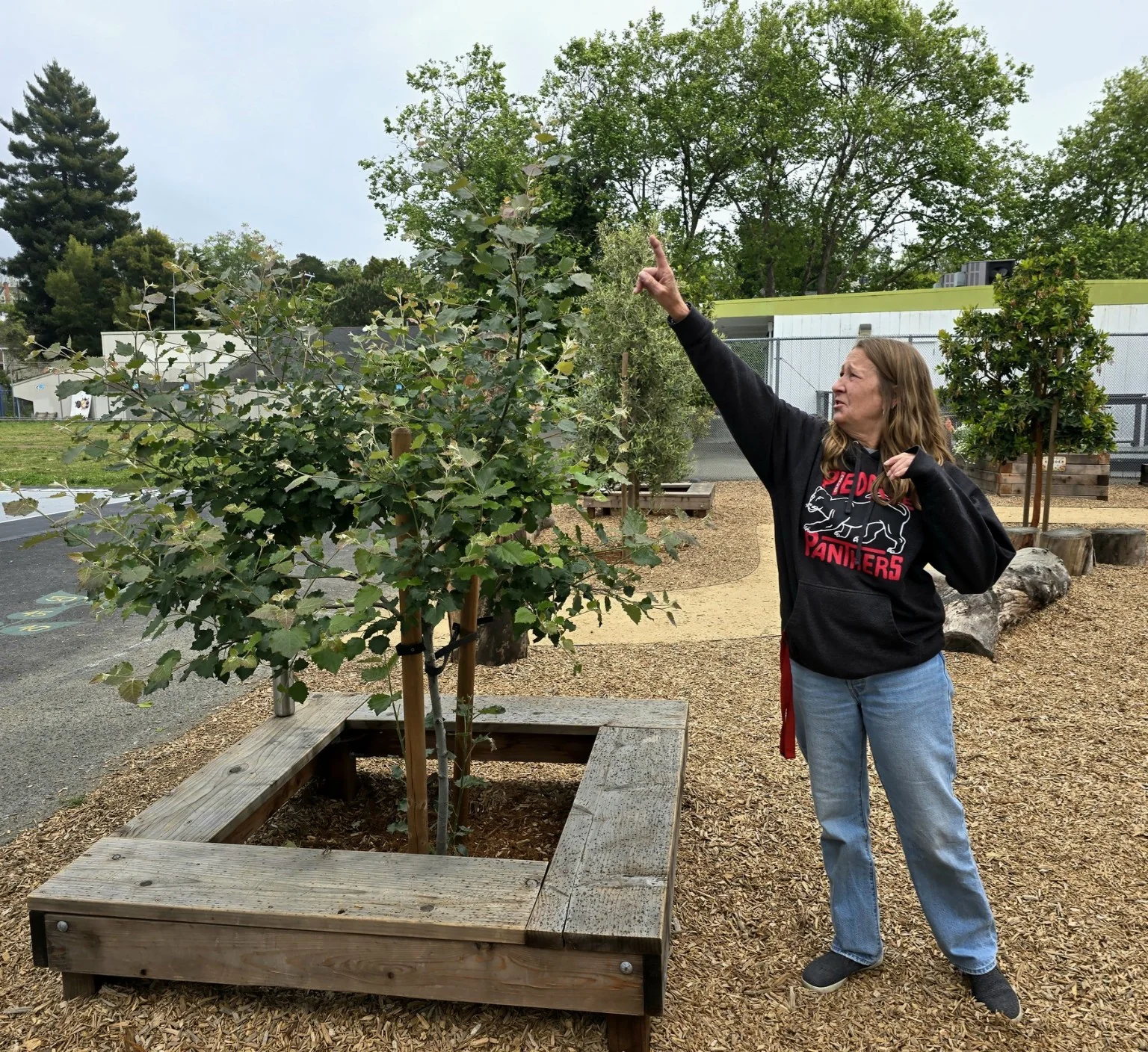 Science teacher Julie Ward with the Baboon-lineage aspen at Piedmont Avenue Elementary in Oakland