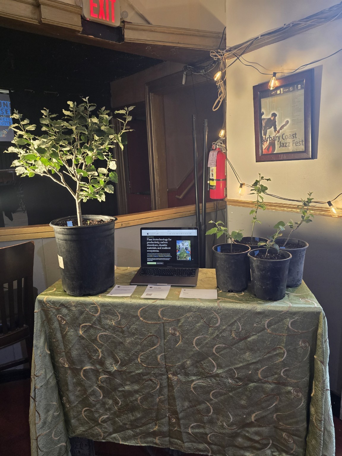 Carbocene participants discussing plant biotechnology at a public science booth