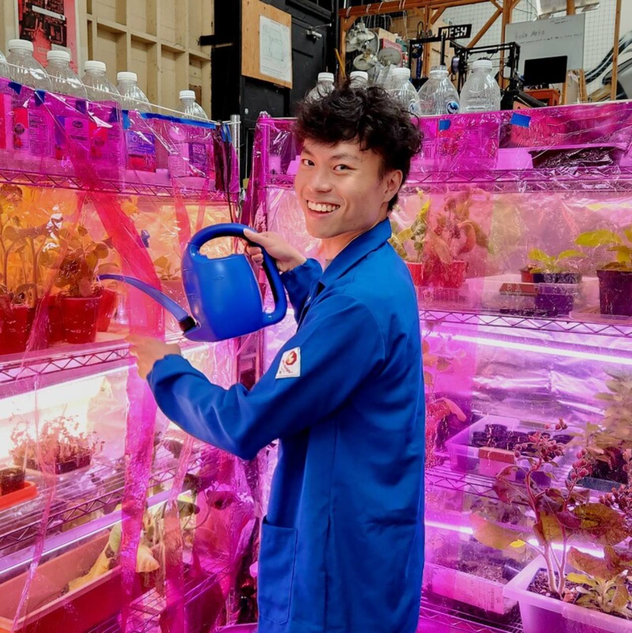Anthony Tan watering plants in a community biology laboratory.