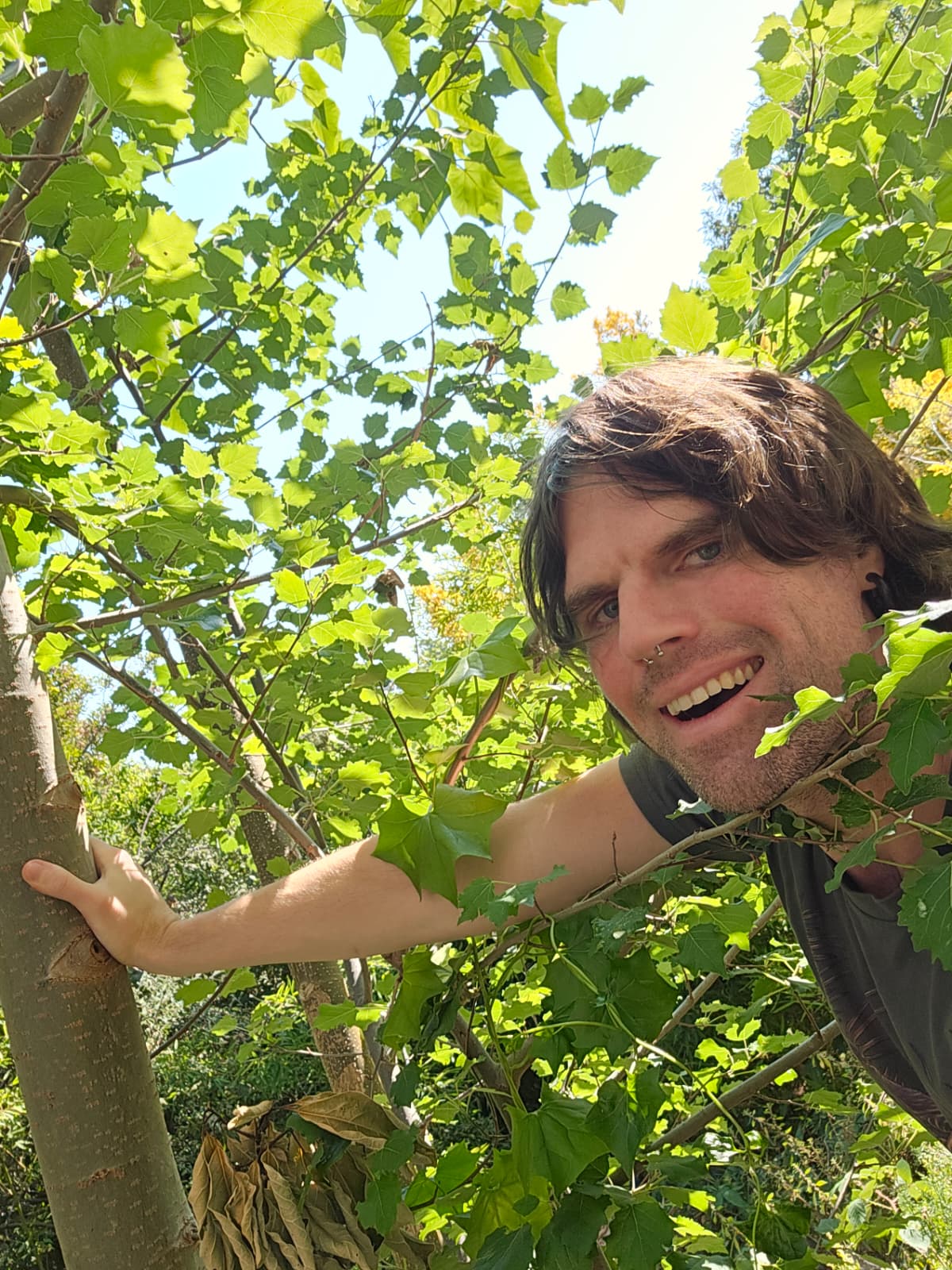 Patrick Mellor among tree foliage, holding a tree trunk