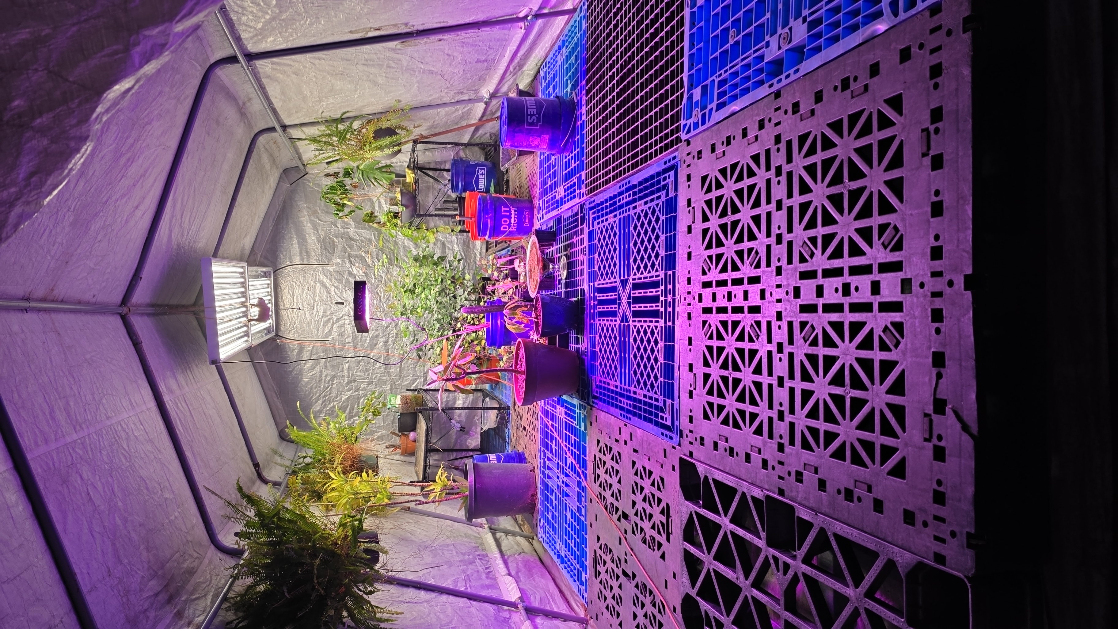 Carbocene Industries greenhouse facility